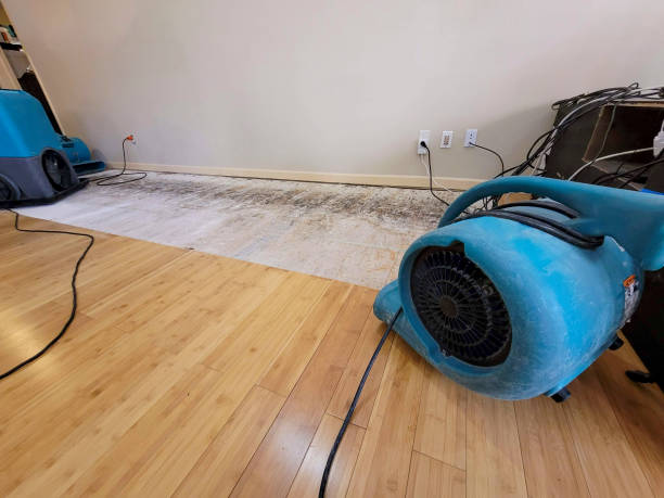 Professional Flood Damage Cleanup technician working in Hamilton, GA